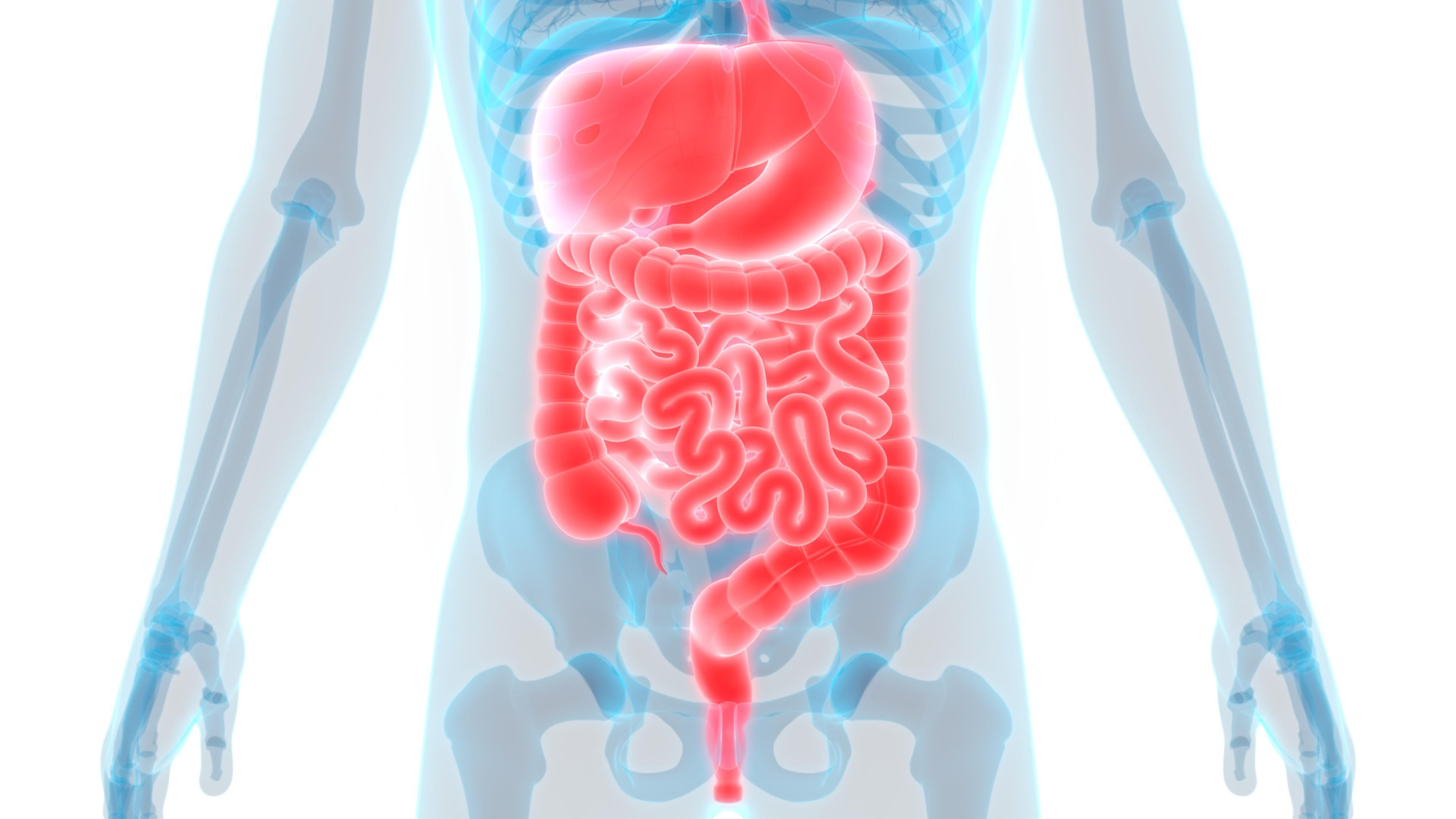 Signs and Symptoms Bowel Cancer 1211268686.jpg