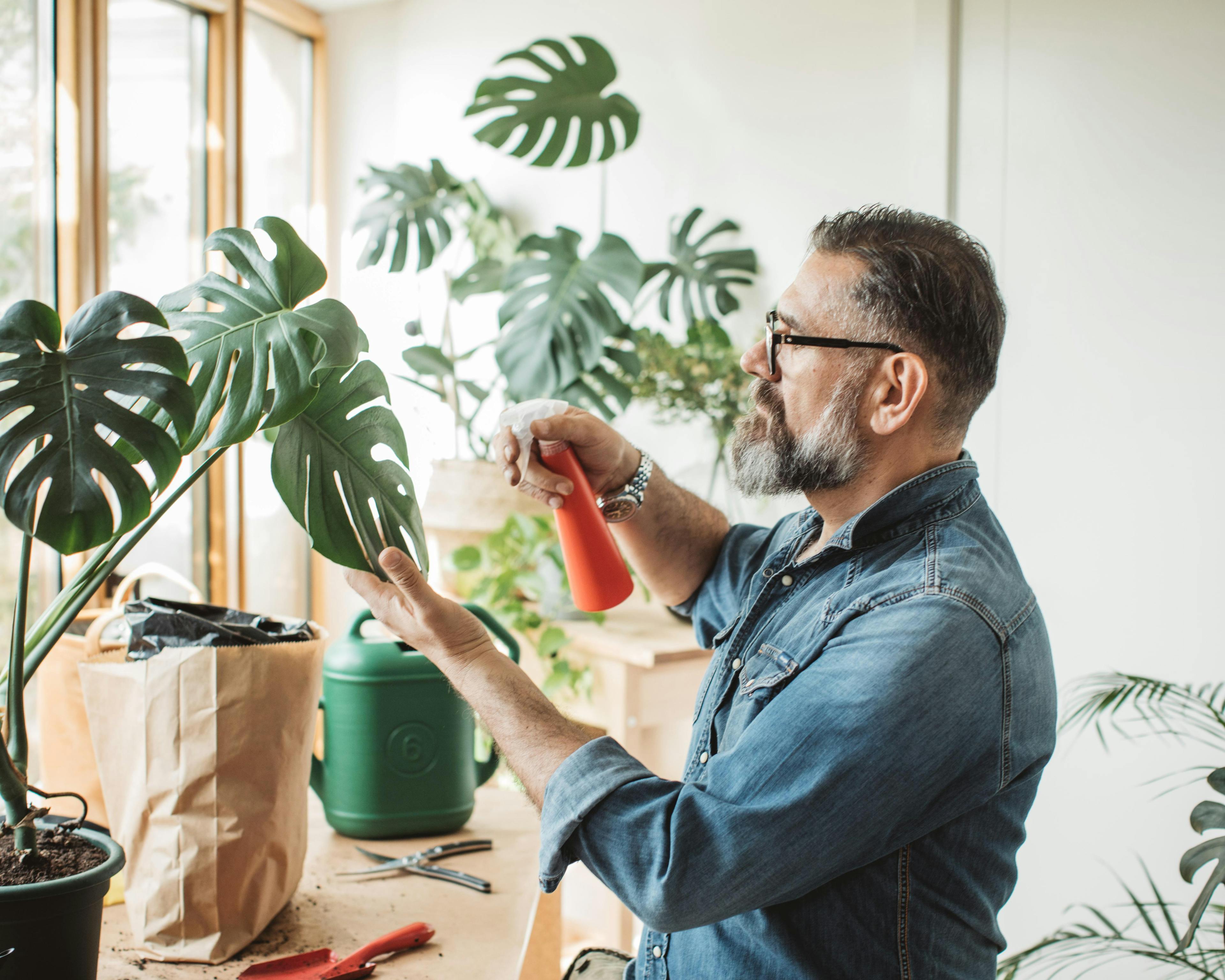 Man spraying flowers 1219919204.jpg